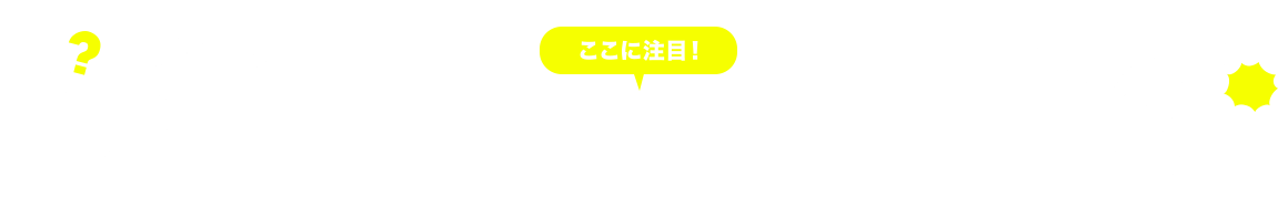 ポイントをチェック!