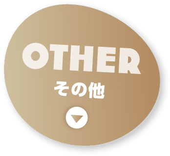 OTHER その他