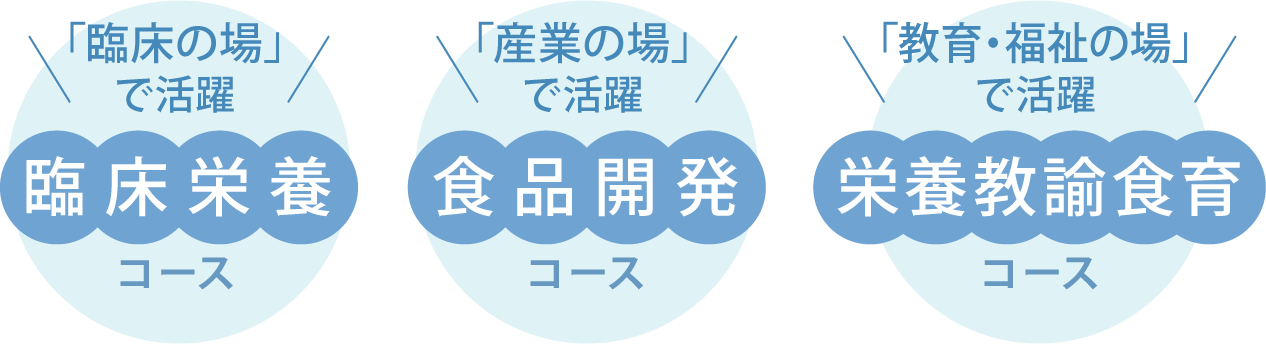 臨床栄養コース、食品開発コース、栄養教諭食育コース